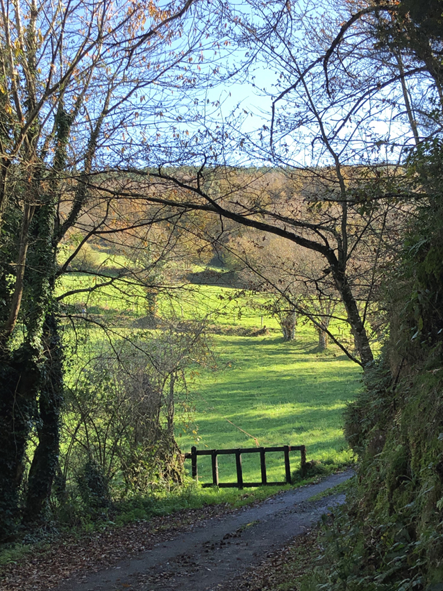 Galicia Natural y Rural
