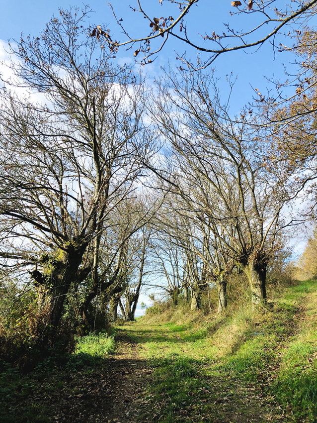 Galicia Natural y Rural